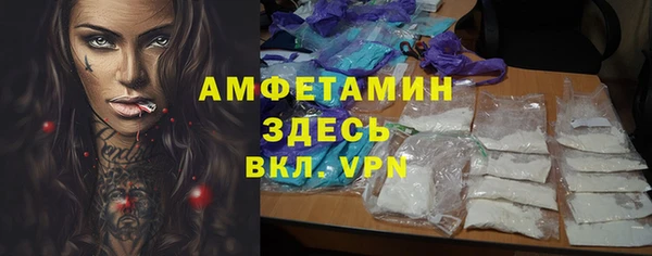 ешки Горняк