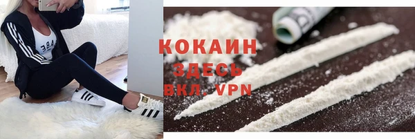 ешки Горняк